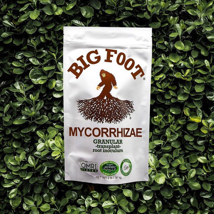 Big Foot Organic Mycorrhizal Granular Fungi Mycorrhizae Inoculant for Plant Root Growth Biochar, Worm Castings, Glomus Intaracides 2 lb