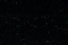 Official Mohawk M280-0224 color swatch