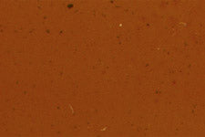 Official Mohawk M280-0234 color swatch